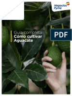 guia-completa-cultivo-aguacate.pdf