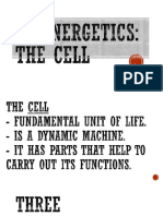 Bioenergetics The Cell