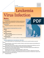 Feline Leukemia Virus Infection Infectious Diseases