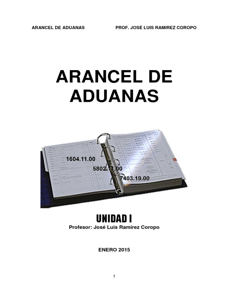 Guía Completa del Arancel de Aduanas | PDF