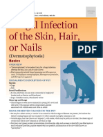 Fungal Infection of The Skin Hair or Nails Dermatophytosis Derm