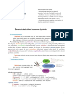 S13 - Clasa A VI-a Lucrare Practică La Calculator