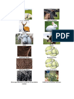 Imagenes de A y A PDF