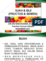 Buah & Biji 2017