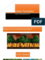 Incendios Forestales ALICIA