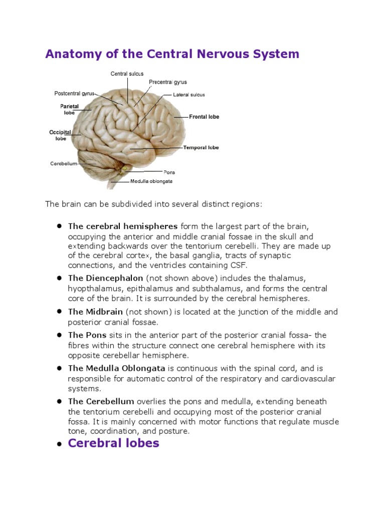 Central Station (Chicago terminal) visual data 5