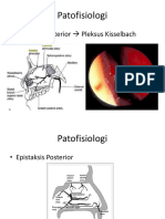 Slide Patofisiologi Diagnosis
