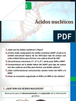 Acidos Nucléicos