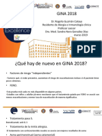 Gina2018 190313231104 PDF