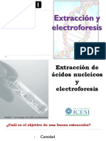 Extracción de ácidos nucleicos y electroforesis: Objetivos y métodos