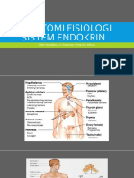 Anatomi Fisiologi Sistem Endokrin