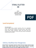 Atrial Flutter