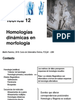Teo 12 Homologias Dinamicas en Morfologia