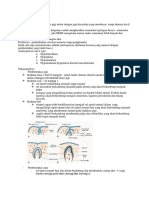 Taurodontisme dan Organogenesis Gigi