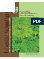 67_manual_cultivo_Nicaragua.pdf