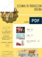 sistemas de produccion bovina.pdf