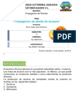Propagacindeldurazno 131114170700 Phpapp01 PDF