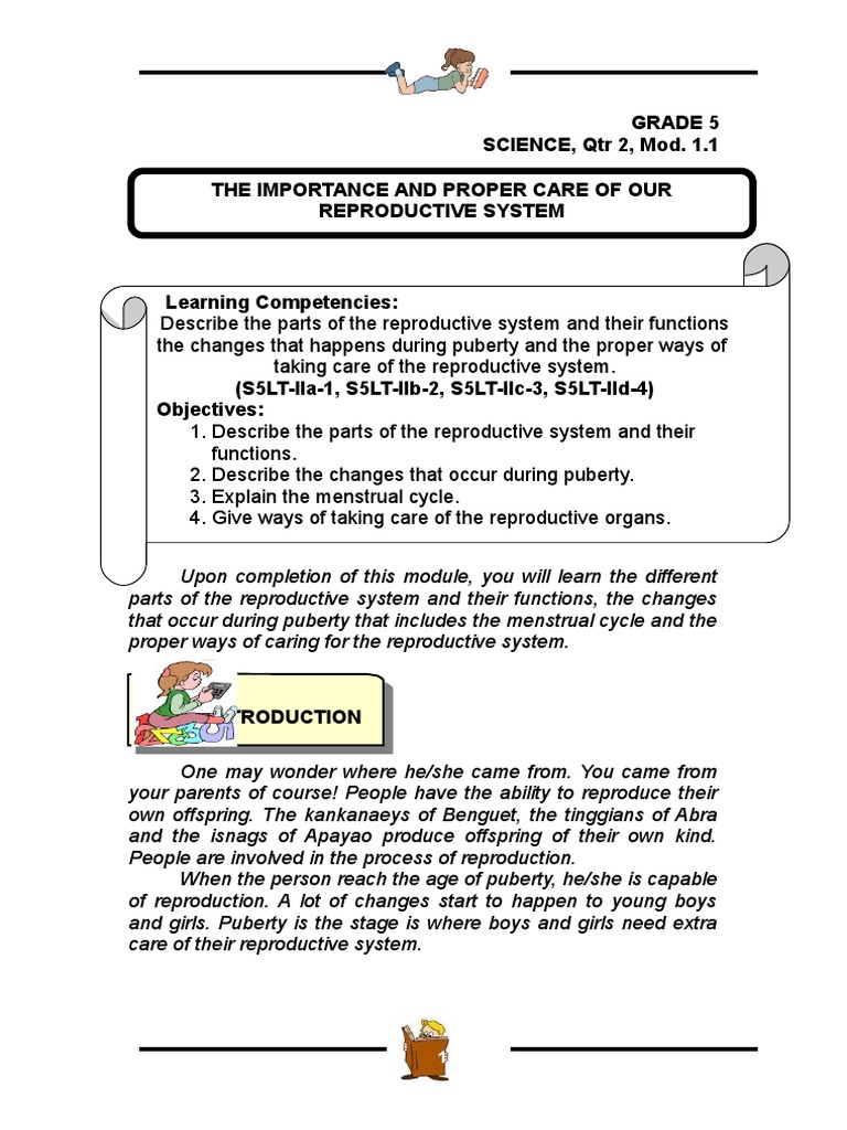 Understanding the Reproductive System | PDF | Flowers | Plant Reproduction