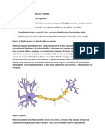 sentidos.doc