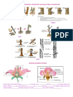Visualisasi Rproduksi Vegetatif Buatan Manusia Dan Bunga