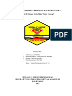 Makalah Prinsip Stratigrafi & Sedimentologi