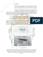el_lenguaje_de_las_aves.pdf