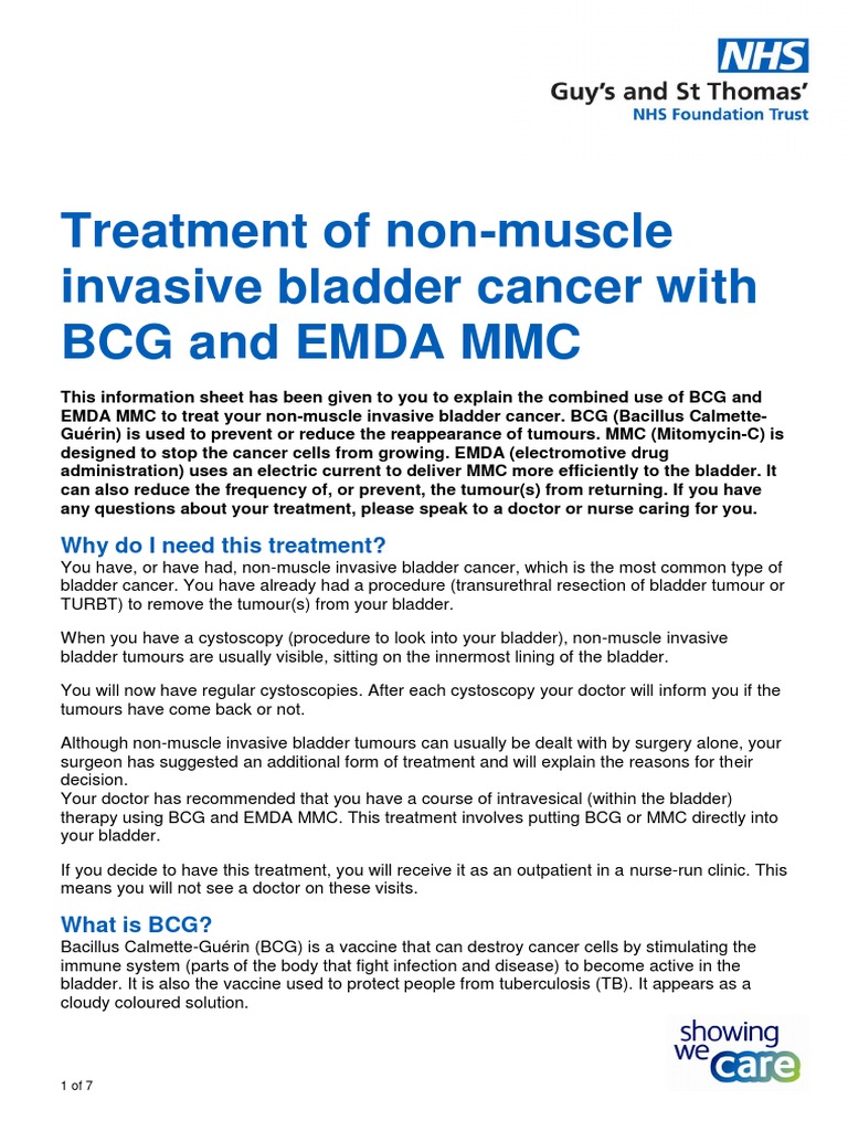 Treatment of Non Muscle Invasive Bladder Cancer With BCG and Emda MMC ...
