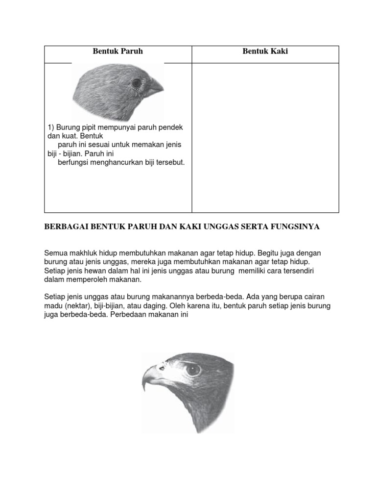 Bentuk Paruh Pdf