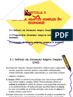 Sistemul Adaptiv Complex in Economie