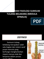 Anatomi Dan Fisiologi Sumsum Tulang Belakang (Medula