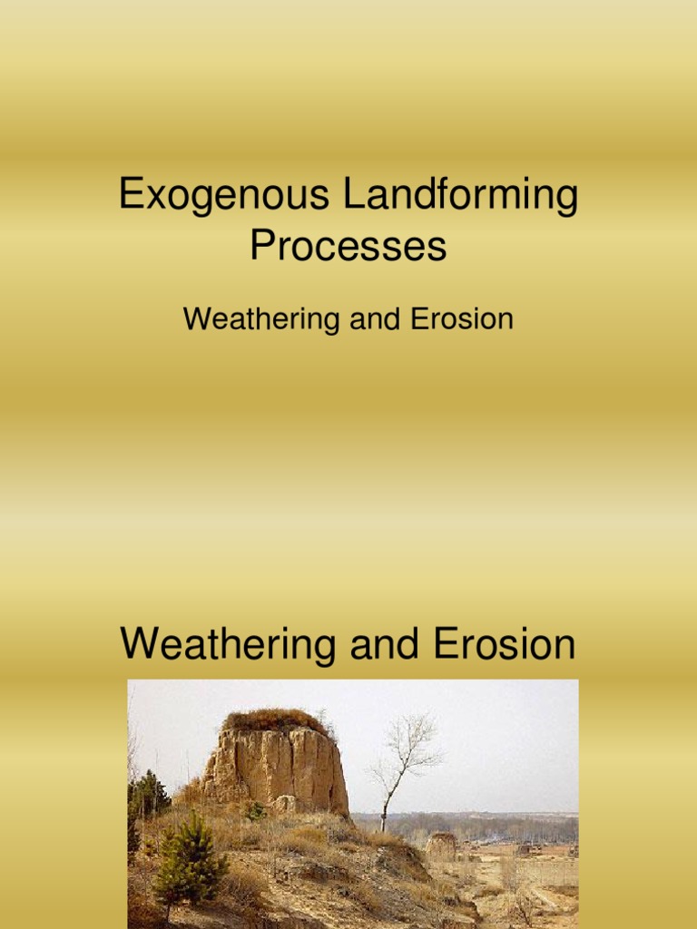 Weathering and Erosion Processes Explained | PDF | Social Science ...