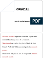 Curs Puer NN PDF