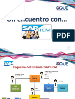 Un Encuentro Con SAP HCM - Módulo OM Parte 1