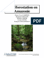 Deforestation Amazonie PDF