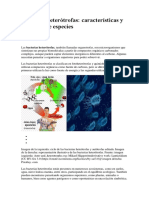 Bacterias heterótrofas: características y ejemplos