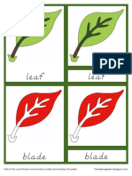Parts of The Leaf Primary Nomenclature Cards (Red Isolation) D'nealian