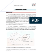 Corrosion Fe.pdf