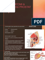 Anat-Histo Prostat