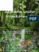 Zagłada Lasów Tropikalnych