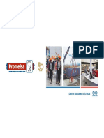 PRESENTACION CELDAS GIS Procap 2020 PDF
