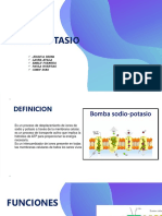 Diapositiva Bomba Sodio Potasio