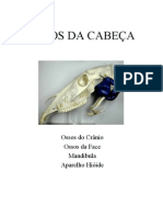 Osteologia