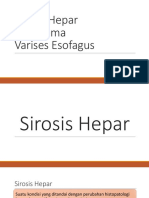 Sirosis Hepatoma Ve