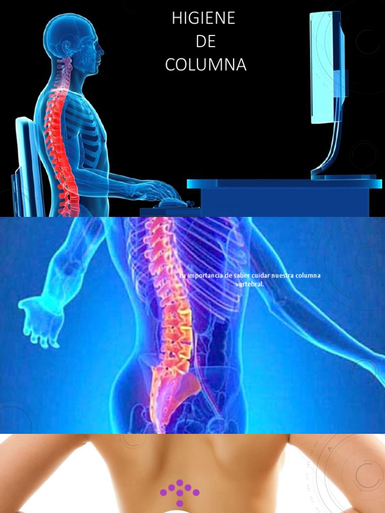 Higiene de la Columna Vertebral | PDF | Salud y bienestar | Ciencia y ...