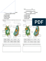 evaluacion celula