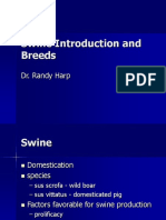 1. Swine Intro. and Breeds 403