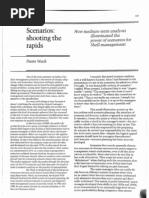 Wack Shooting the rapids