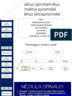 Sistem Traktus