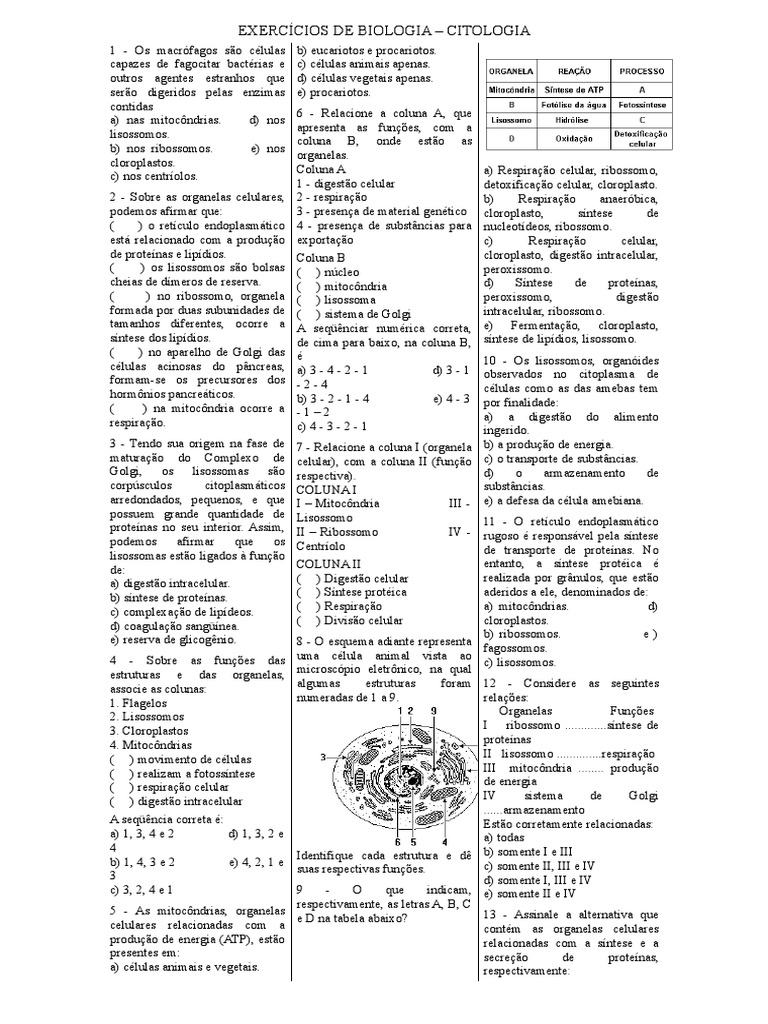 Exercicios de Biologia Citologia | PDF | Organelo | Célula (Biologia)