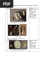 Diversifikasi dan Identiifikasi Filum Molusca di Pantai Serang.docx
